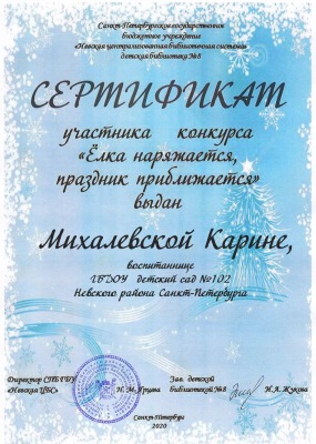 041 сертификат Михалевская
